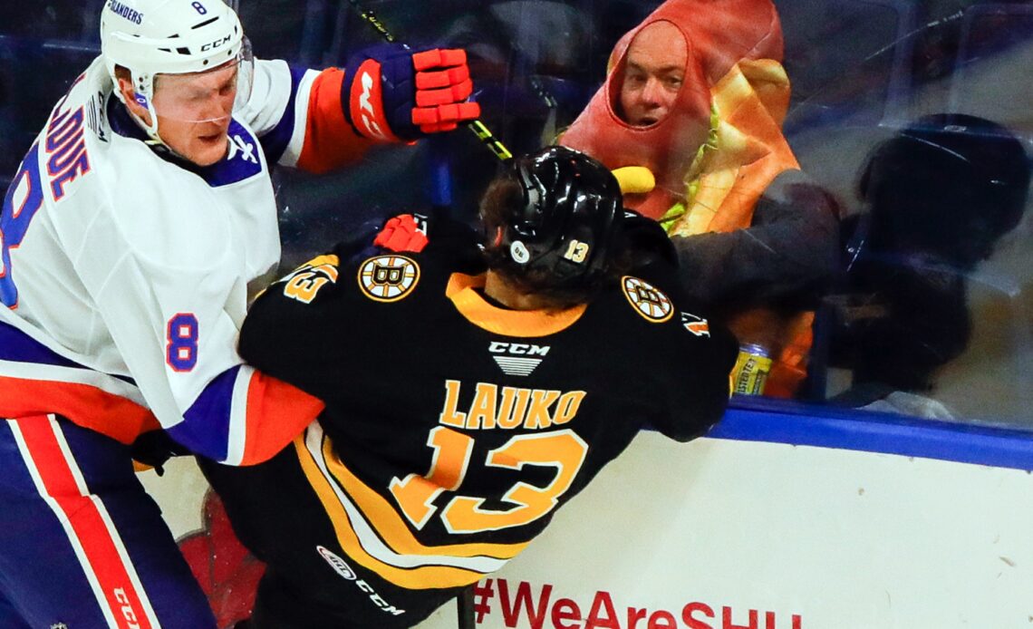 Weekend Preview: Islanders Battle Bruins, Phantoms