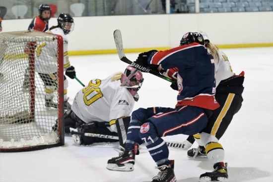 ICE HOCKEY - Solihull Vixens gear up for play-offs with thrilling draw against Guildford