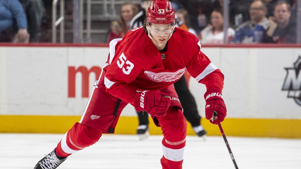 Detroit Red Wings fantasy projections for 2022-23