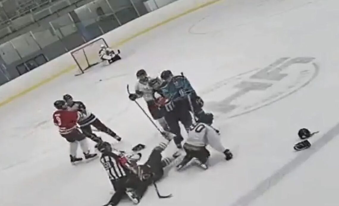 A player was seemingly kicked in the face by his opponent during a hockey fight