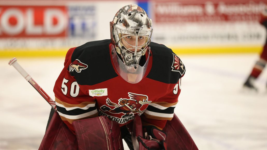 Coyotes Recall Carcone, Assign Prosvetov to Tucson