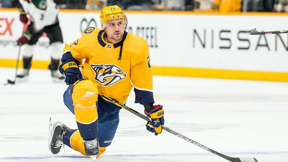 The Predators and Avalanche won't be playing as planned on Friday. (Photo by John Russell/NHLI via Getty Images)