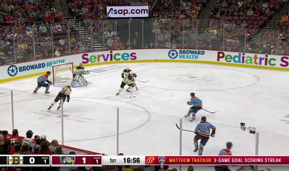 a Goalie Save from Florida Panthers vs. Boston Bruins