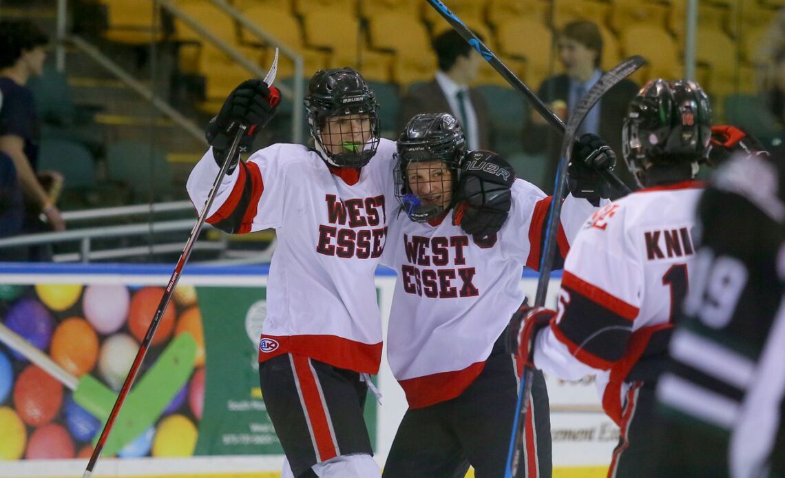 Boys Ice Hockey: West Essex-Caldwell hosts Livingston at Richard J. Codey Arena in West Orange on Monday, December 19, 2022.
