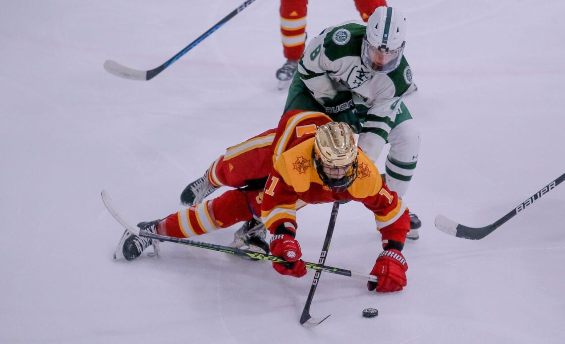 Boys ice hockey: No. 2 Delbarton shuts out No. 5 Bergen Catholic (PHOTOS)