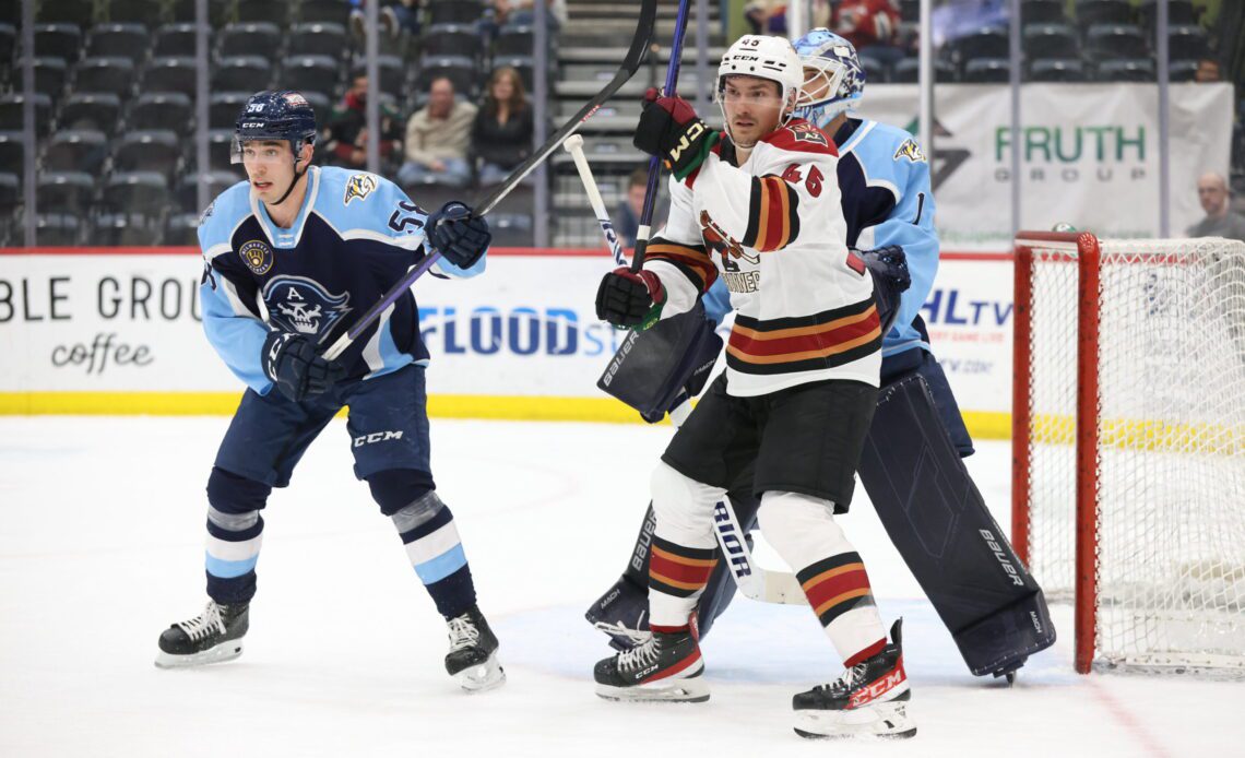 Ads Sweep Roadrunners - Milwaukee Admirals