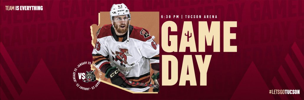 Game #41 – Wolves at Roadrunners