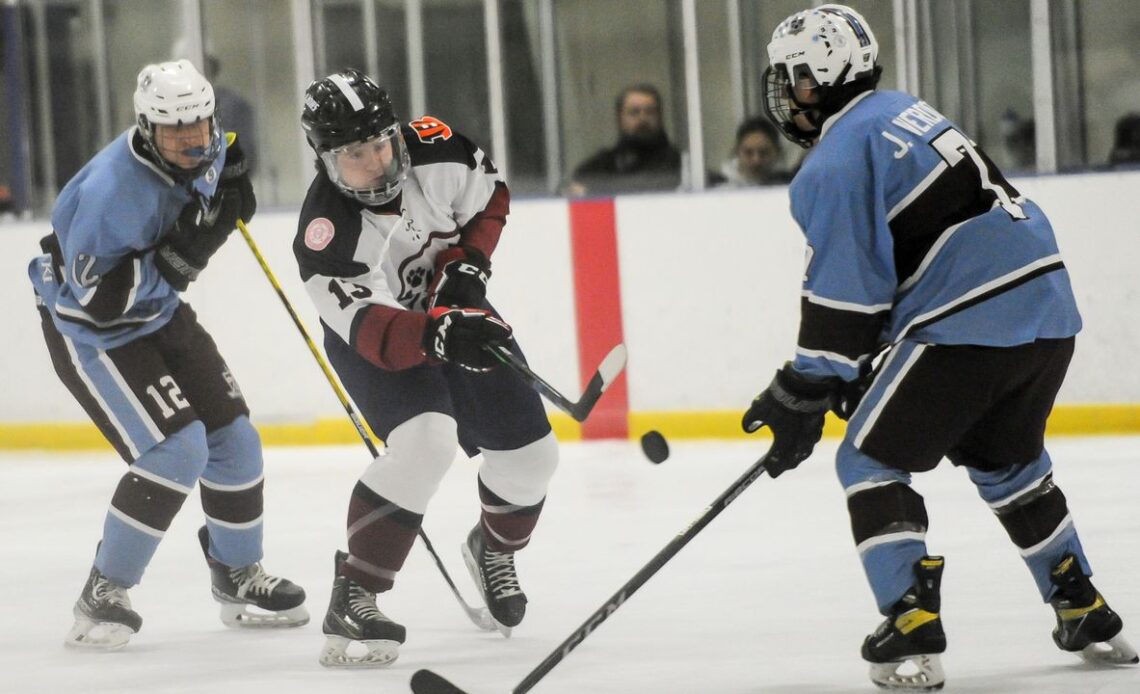 Ice Hockey Photos: Toms River South-East at Lacey-Barnegat, January 17, 2023 - NJ.com