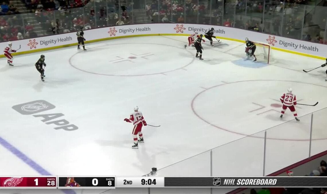Nick Bjugstad with a Goal vs. Detroit Red Wings