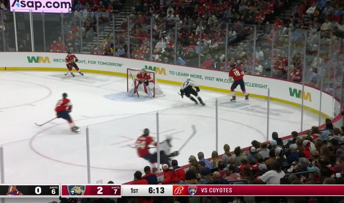 a Goalie Save from Florida Panthers vs. Arizona Coyotes