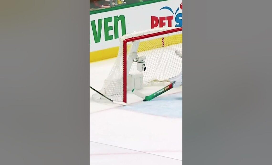 A glorious stick save 😱