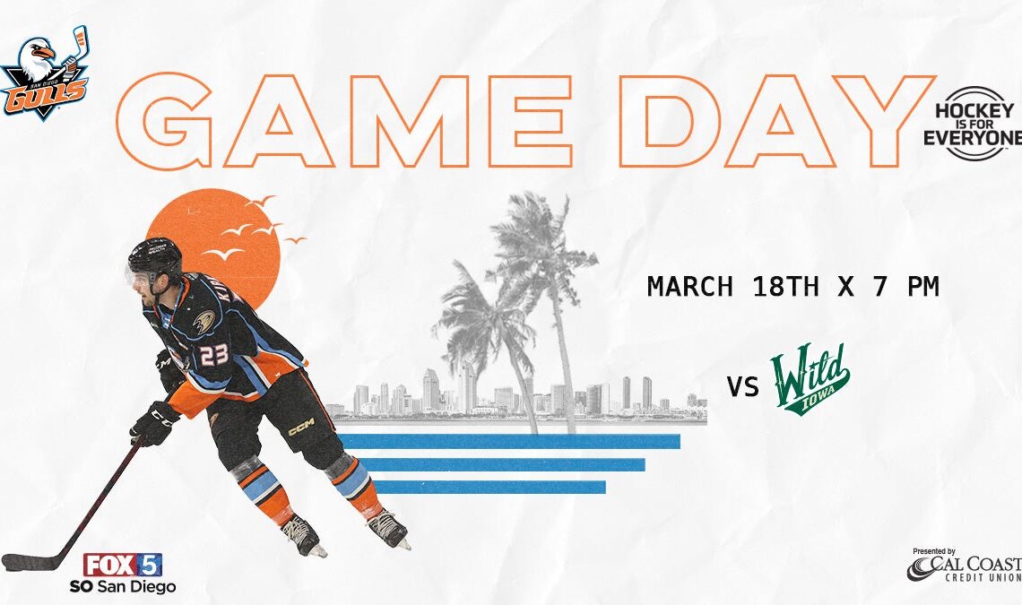 PREVIEW: Gulls, Wild Meet On Hockey Is For Everyone Night