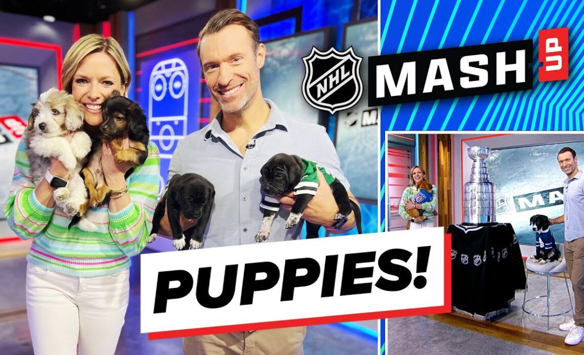 Stanley Cup, Puppies, and Hughes Bros! | NHL Mash-Up with Kathyrn Tappen and Dominic Moore | Ep. 5