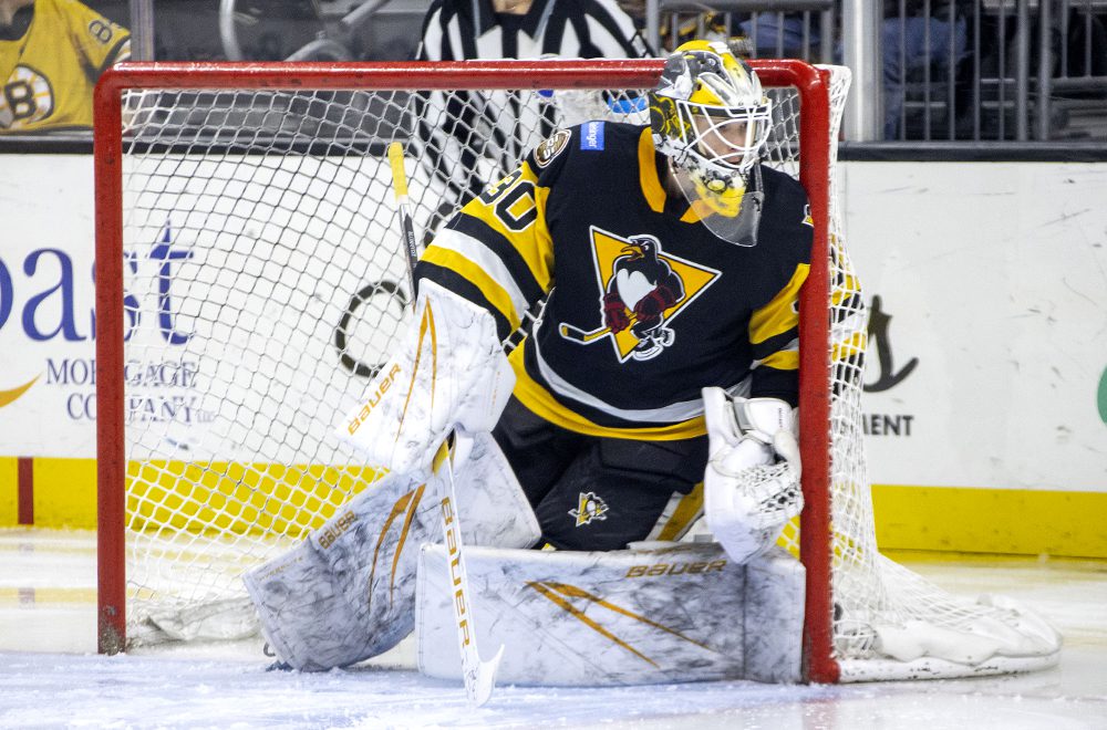 PENGUINS DEFEAT P-BRUINS, 2-1