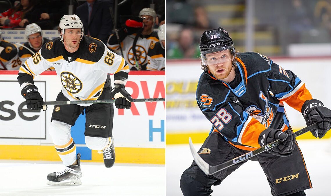 San Diego Gulls Sign Defensemen Nick Wolff And Luka Profaca To Standard Player Contracts