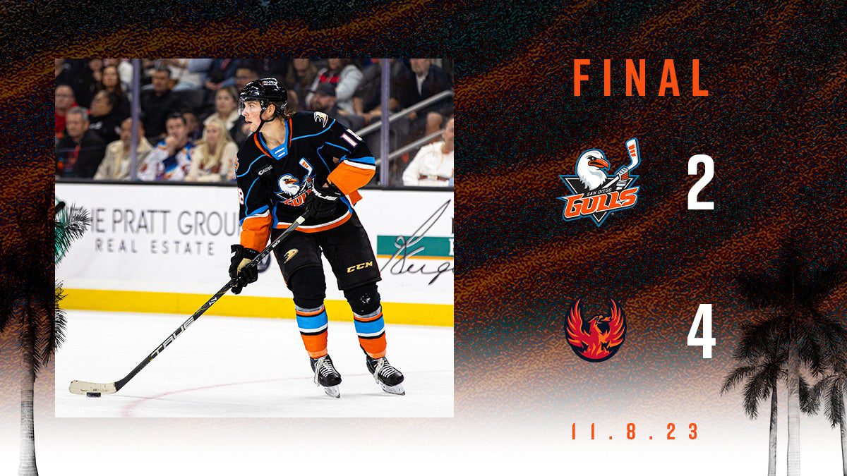 Gulls Go Down Early, Fall To Firebirds 4-2