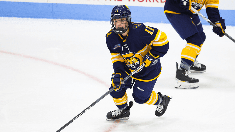 No. 8 Women's Ice Hockey Prepares to Host LIU