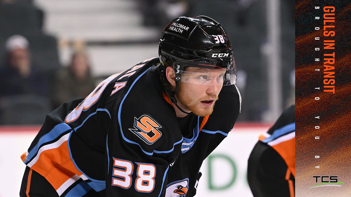 San Diego Gulls Assign Defenseman Luka Profaca To Tulsa (ECHL)