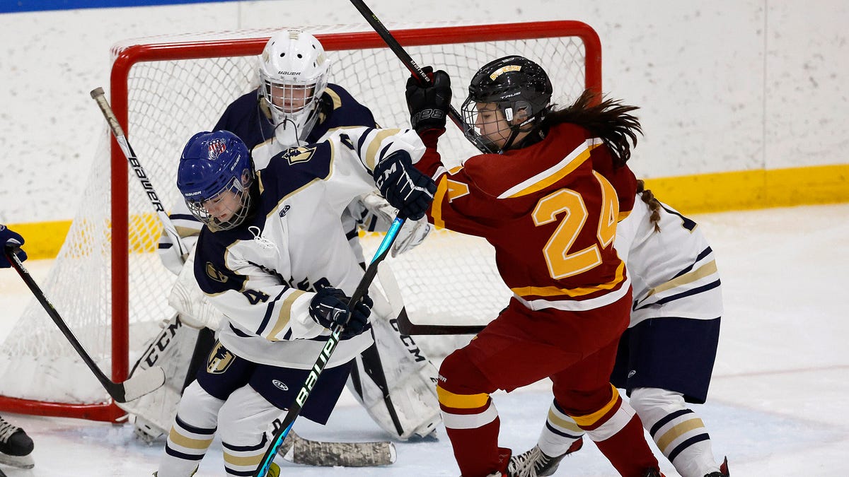 Webster makes history with Section V's first girls hockey team: See the photos - Democrat & Chronicle
