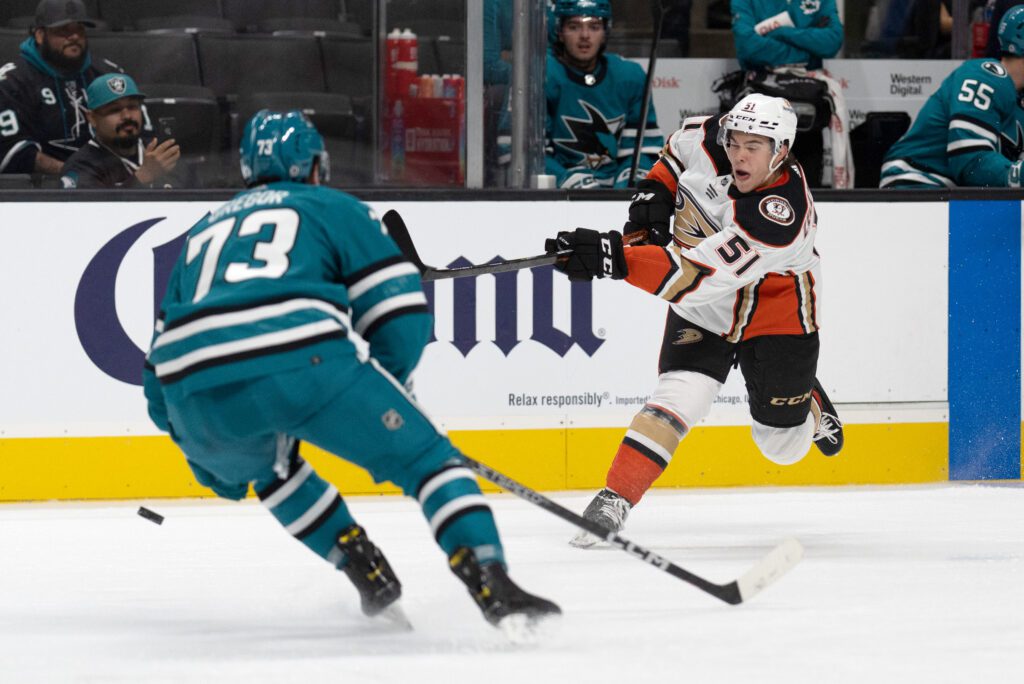 Anaheim Ducks Recall Olen Zellweger