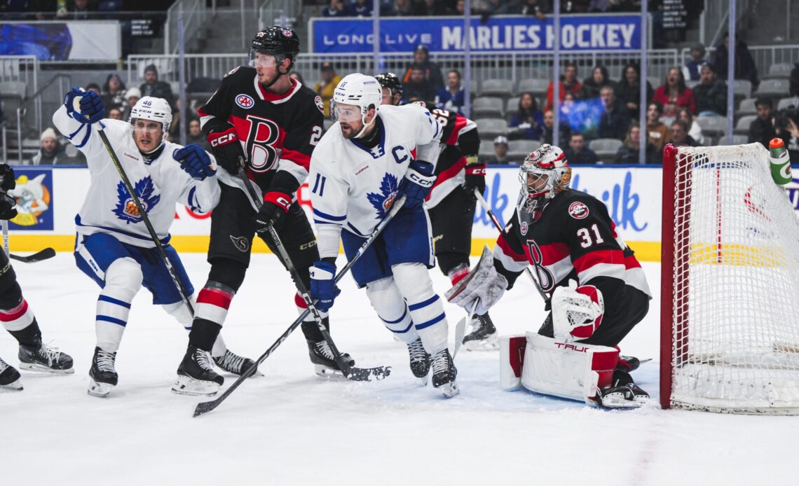 Belleville Sens win streak ends at seven after penalty-filled affair in Toronto – Belleville Sens