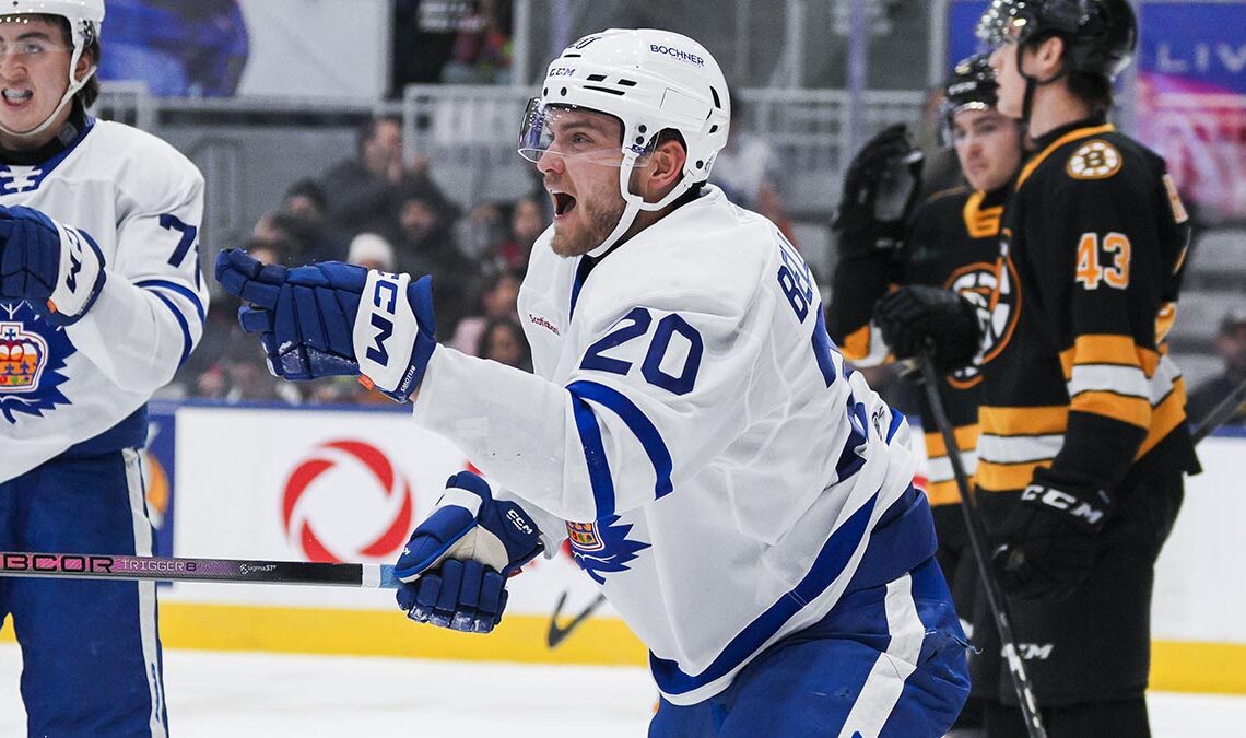 Marlies sign Bellows to AHL deal | TheAHL.com