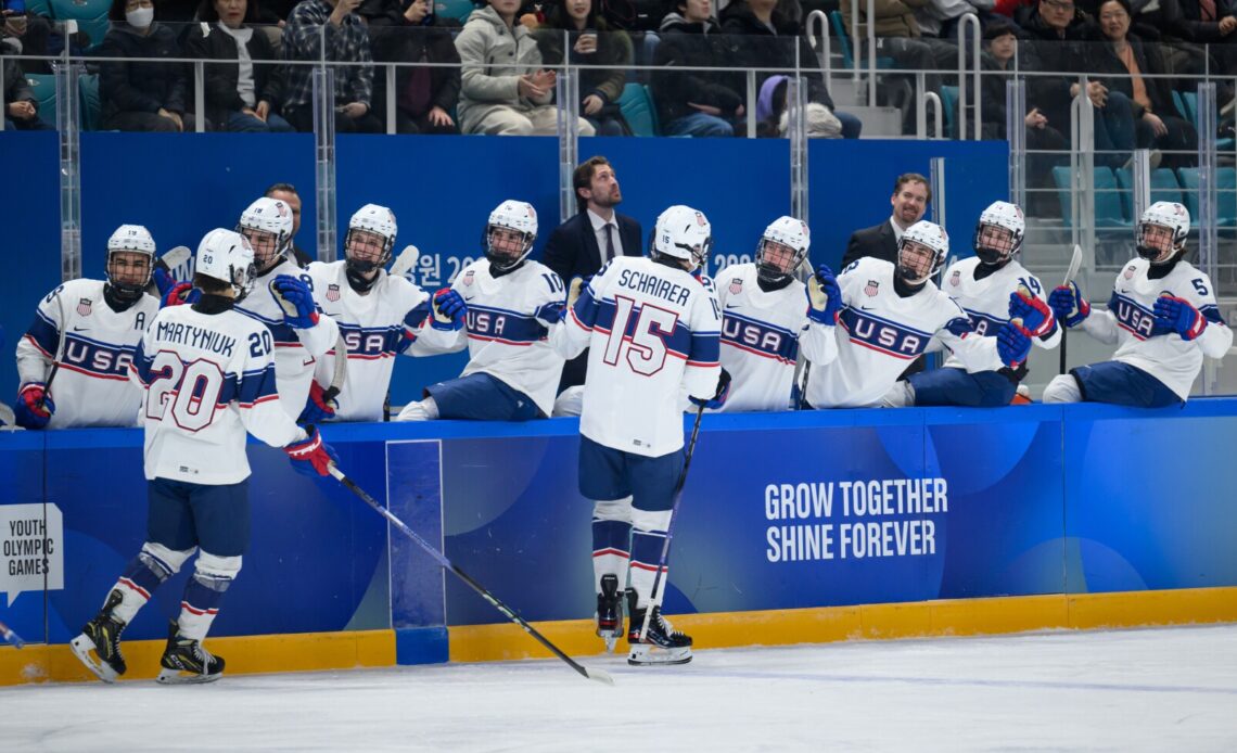 U.S. Youth Olympic hockey to play for gold after shootout win - Duluth News Tribune
