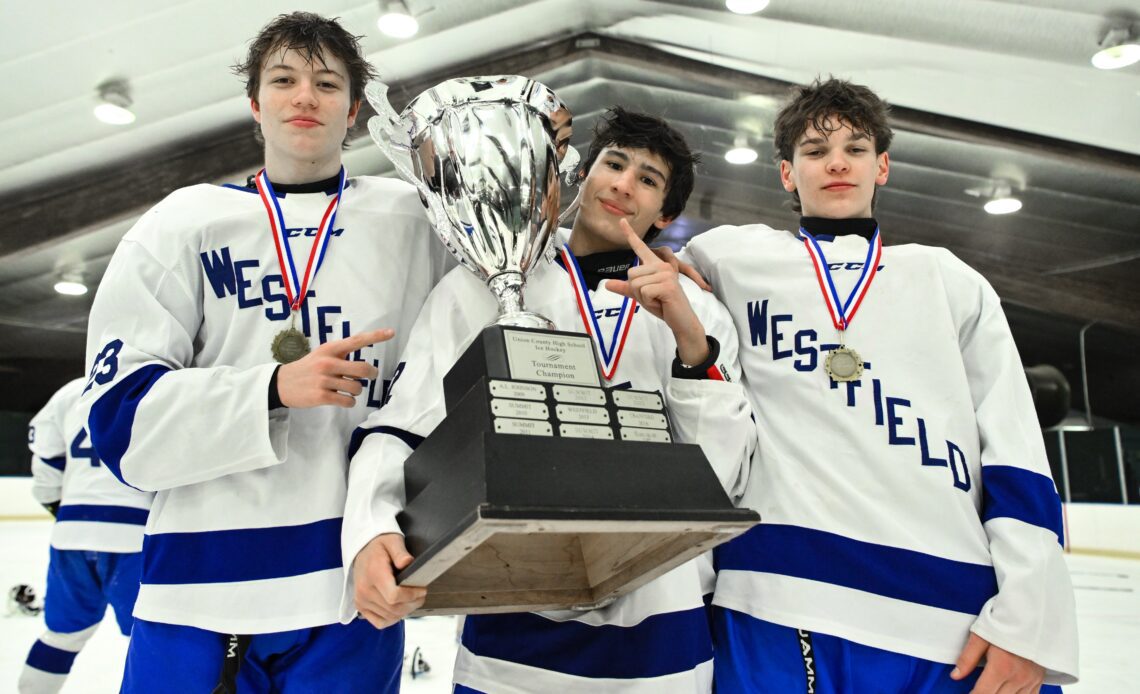 2024 NJSIAA Boys Ice Hockey State Tournament Brackets