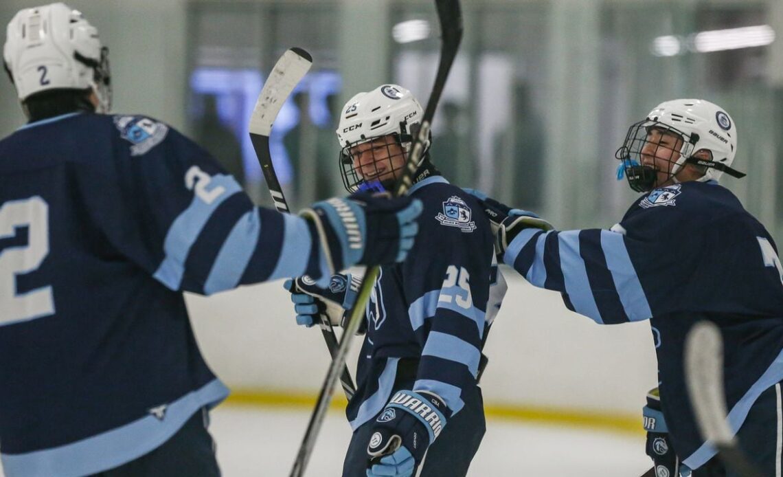 Boys Ice Hockey: Our picks and analysis for the 2024 state quarterfinals