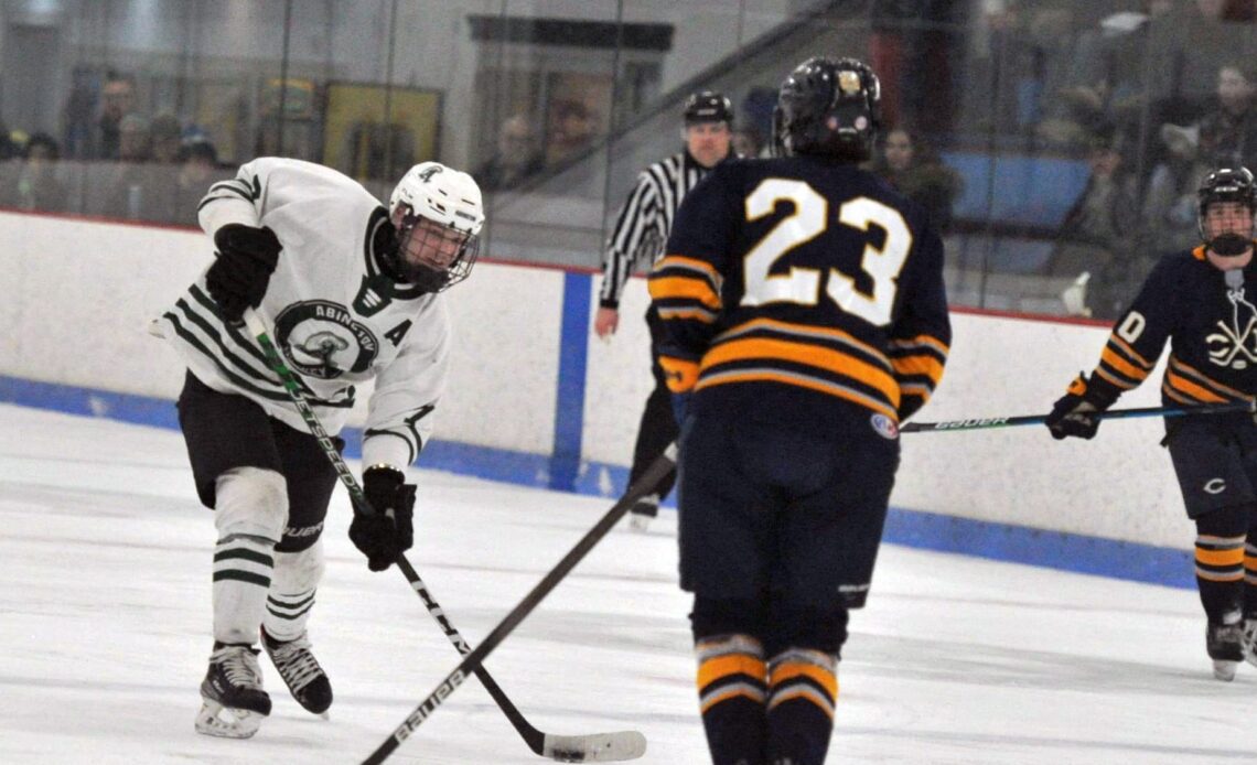 Here are 30 local high school hockey players to watch for in playoffs