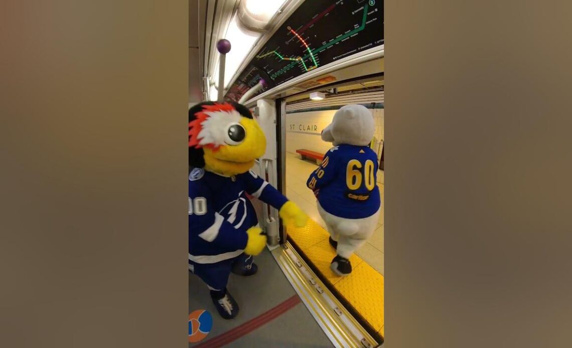 Mascots Wreak Havoc on the Toronto Subway Line ⚠️🚇