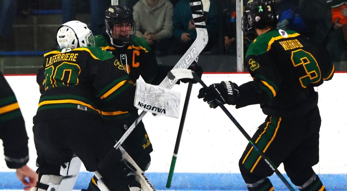 Photos: Taconic ice hockey wins Western Mass. title - Berkshire Eagle