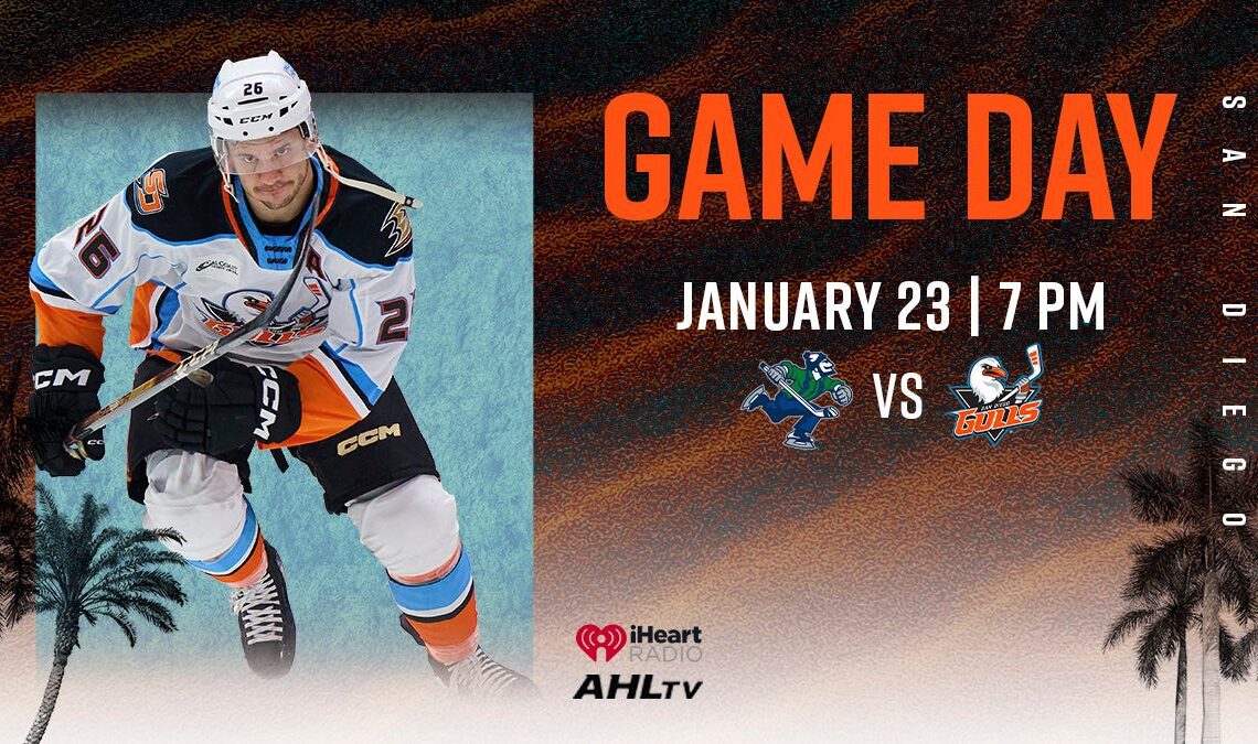 Preview: Gulls Go For Revenge Over Canucks