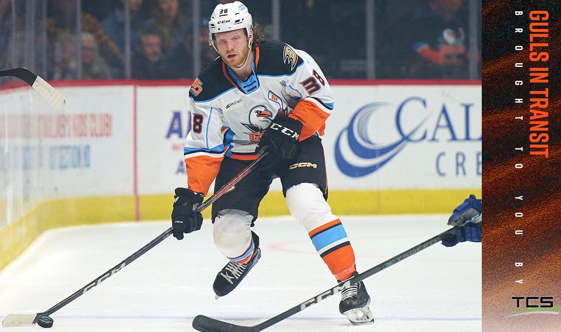 San Diego Gulls Reassign Luka Profaca to Tulsa (ECHL)