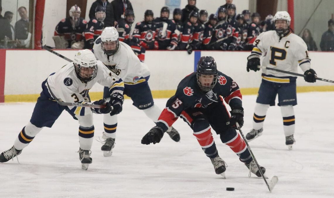 lohud hockey player of the week poll for Feb. 26, 2024