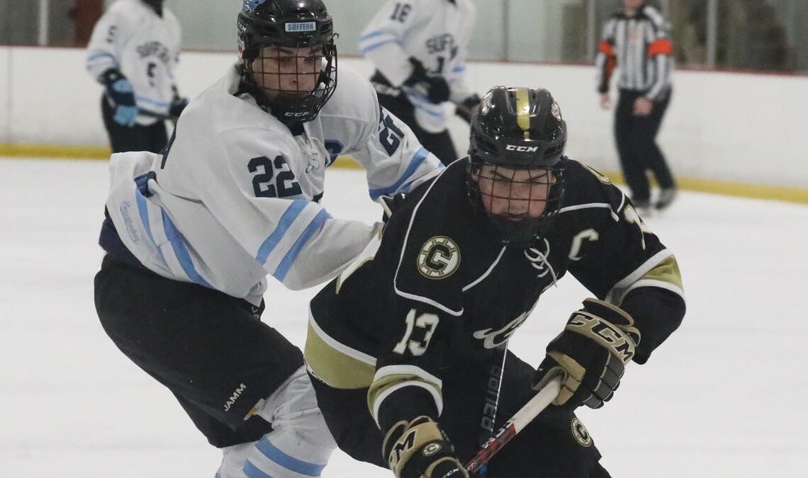 2023-24 All-Section 1, all-league hockey teams