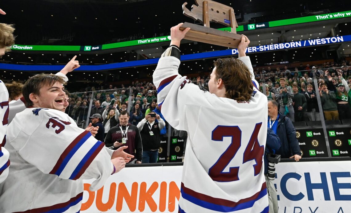 D-S/Weston hockey pulls away form Hanover for Division 4 state title