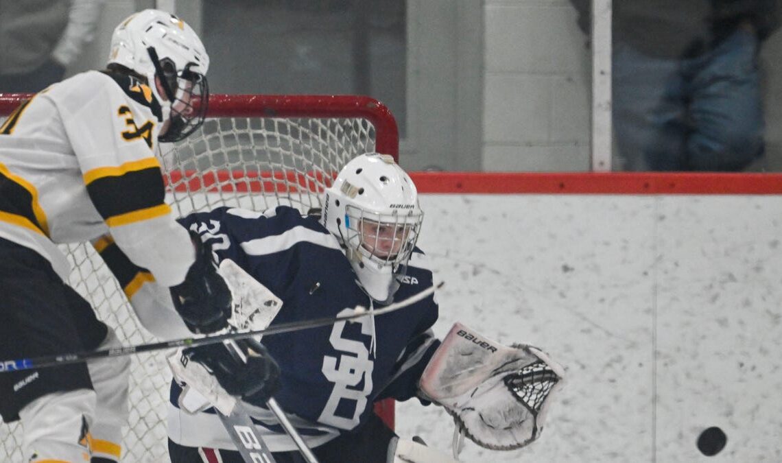 Fall River area H.S. boys hockey player of the year