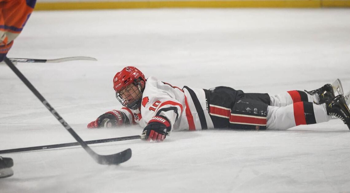 Georgia hockey crashes out of nationals after 3-2 loss to Tampa | Georgia Sports