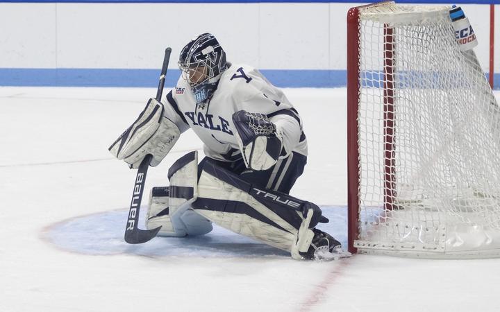 Stark Named to ECAC Hockey All-Rookie Team