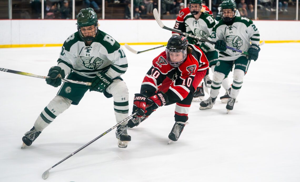 Western Mass champion Bombers journey ends in Division 2 boys ice hockey state tourney Round of 32