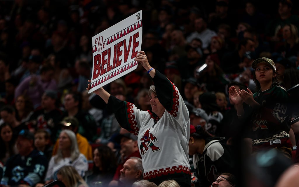 Despite Arizona losing its NHL team, push for sport's growth continues