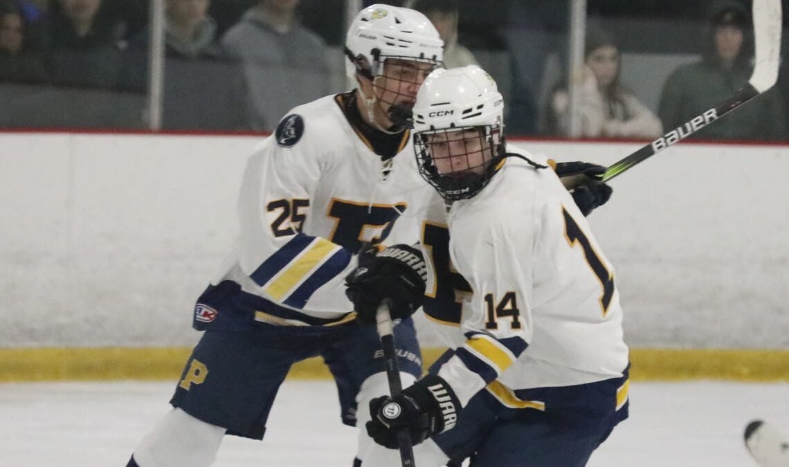 2024 lohud ice hockey all-star team westchester/putnam