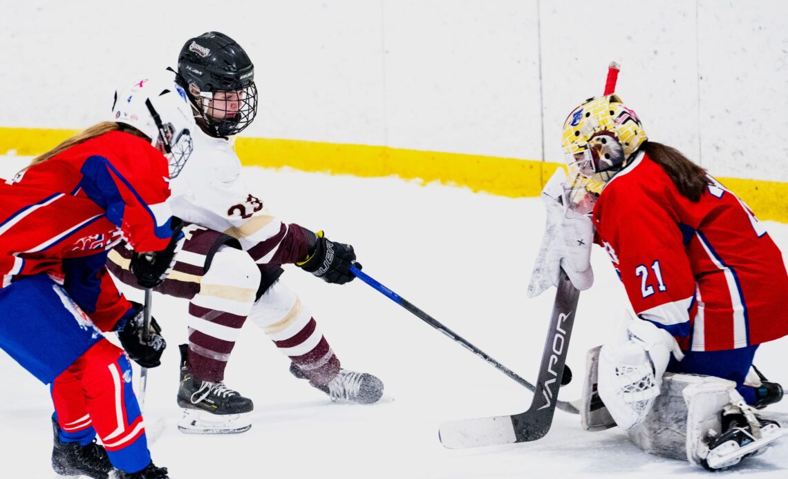 High school girls hockey players who were named Daily News All-Stars