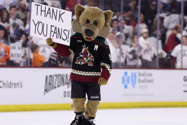 NHL Approves $1.2B Coyotes Sale to Utah’s Ryan and Ashley Smith