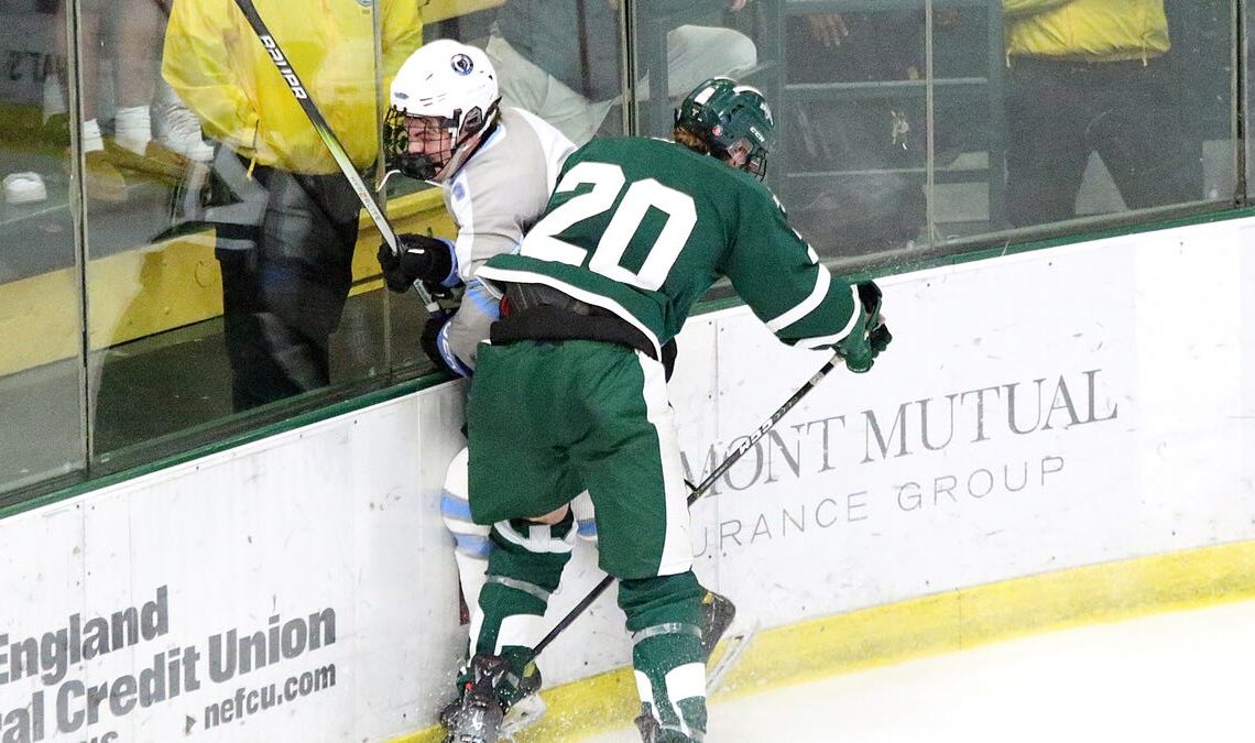 The Free Press All-State Boys Hockey Team