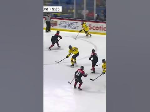 Top Plays: Preliminary Round Sweden | 2024 #womensworlds