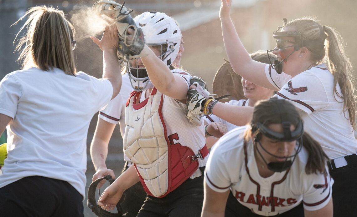 Clinton's Emily Johns, Hudson's Lauren O'Malley share unique sports bond