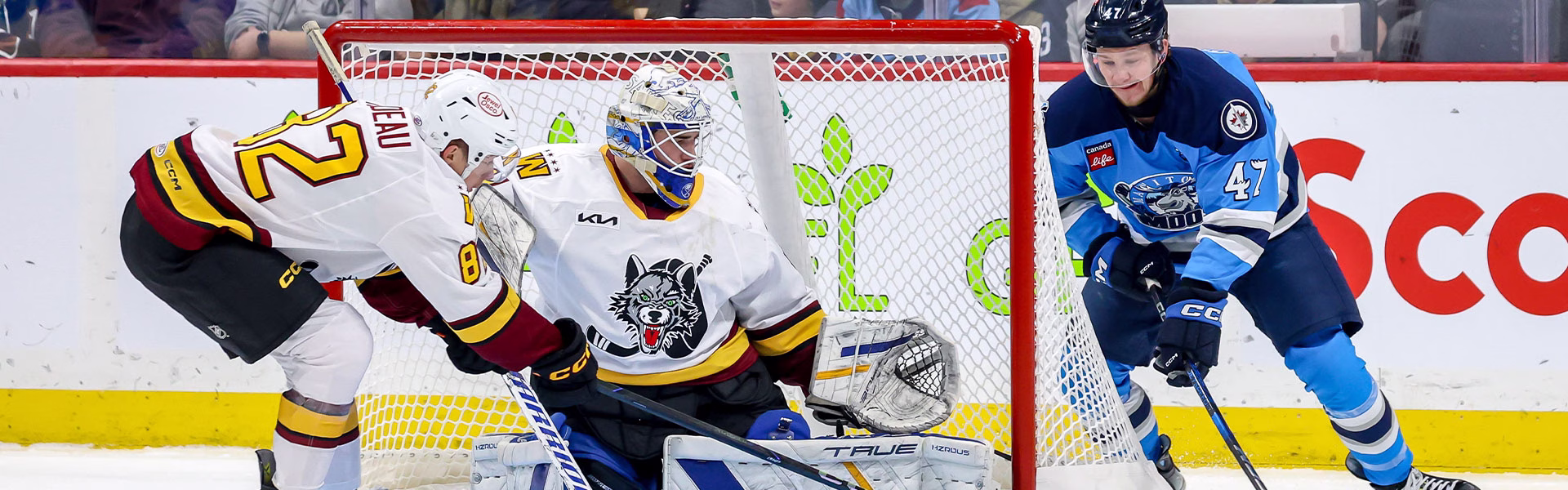 WOLVES DOWNED BY MOOSE 4-2