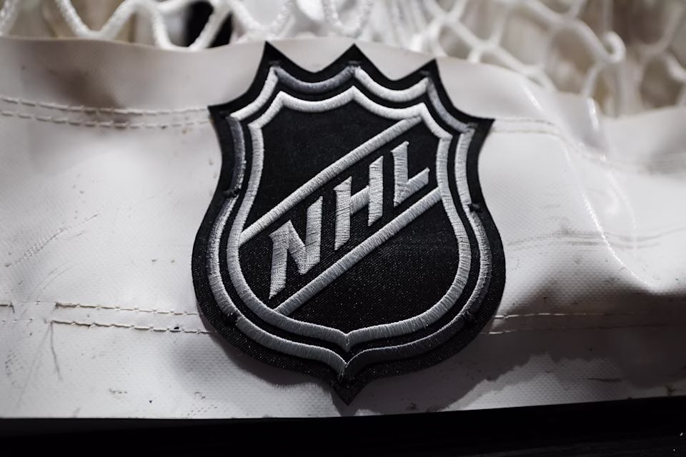 WASHINGTON, DC - DECEMBER 15: A detailed view of the NHL logo on the net before the game between the Washington Capitals and the Dallas Stars at Capital One Arena on December 15, 2022 in Washington, DC. (Photo by Scott Taetsch/Getty Images)